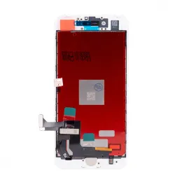  IP  8