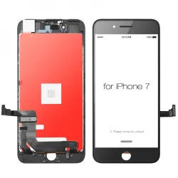 IP  7